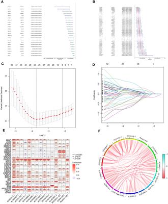 Elucidating the Influence of MPT-driven necrosis-linked LncRNAs on immunotherapy outcomes, sensitivity to chemotherapy, and mechanisms of cell death in clear cell renal carcinoma